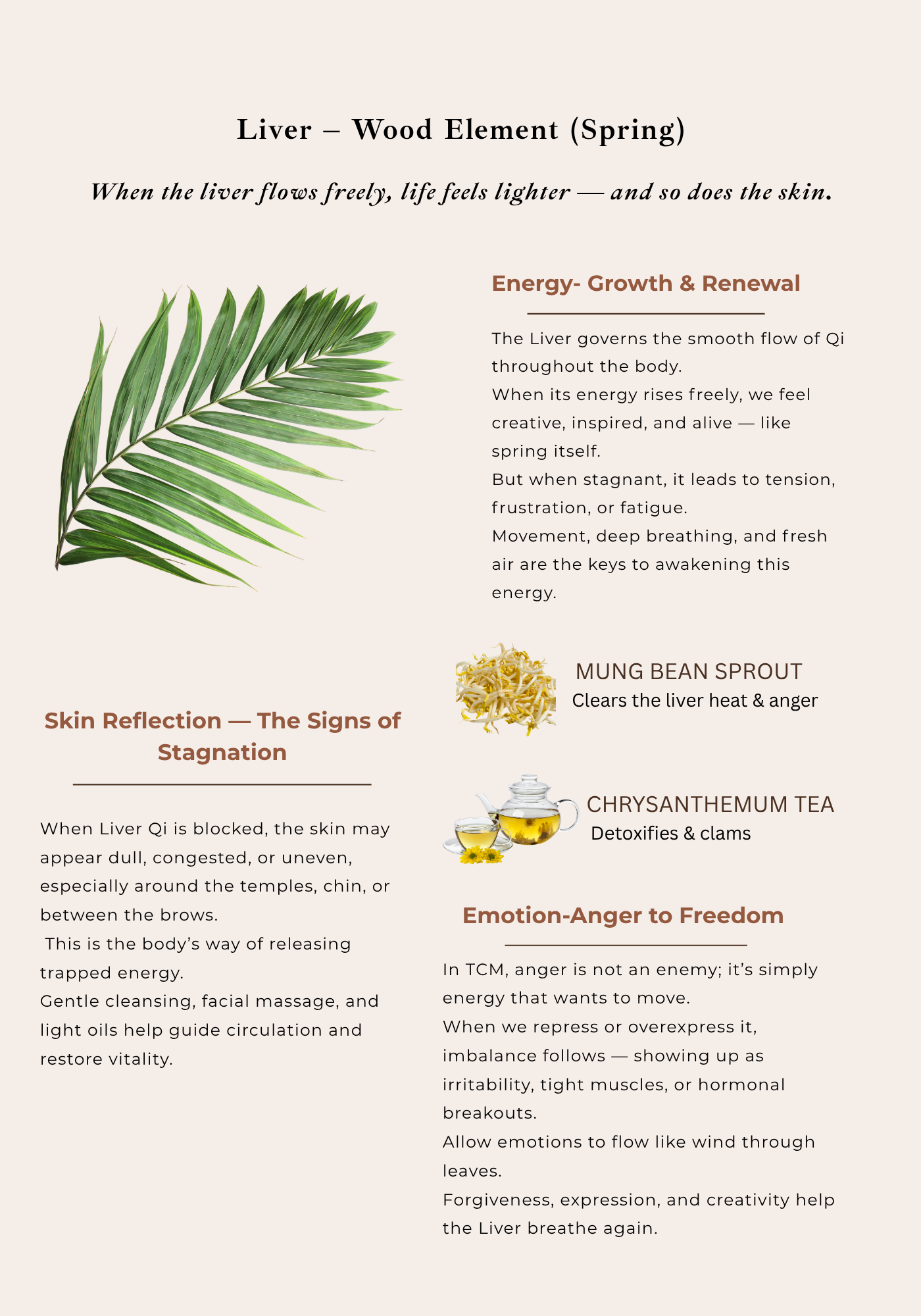 Liver wood element skincare guide showing TCM connection between skin and internal balance