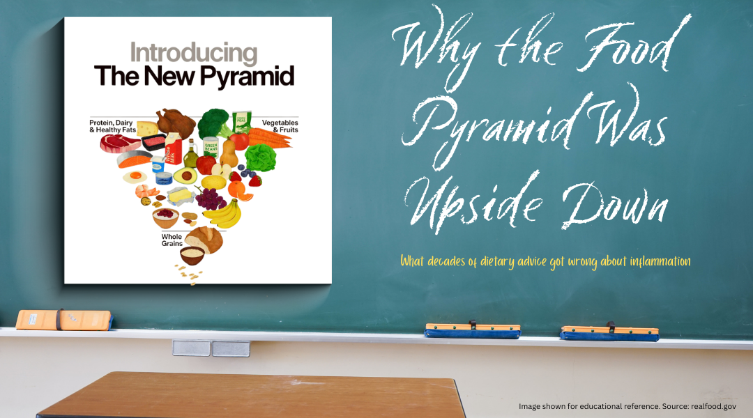 Illustration of the modern inverted food pyramid used for educational reference, showing a shift from grain-heavy dietary guidance toward whole foods and inflammation-aware nutrition.