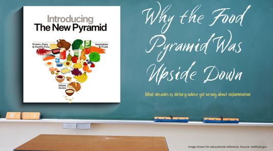 Illustration of the modern inverted food pyramid used for educational reference, showing a shift from grain-heavy dietary guidance toward whole foods and inflammation-aware nutrition.