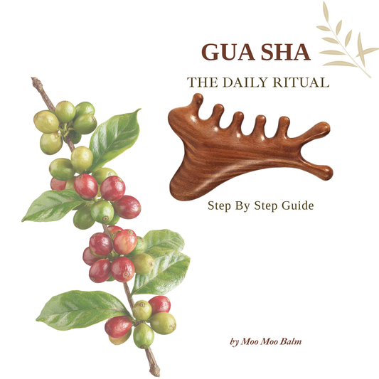 Moo Moo Multi-Functional Gua Sha Tool